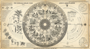 Illustration naturaliste victorienne, Puthandu — premier de l'an tamoul, calendrier, Thadeus' Worlds
