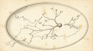 Physarum polycephalum reconstituant le réseau ferroviaire de Tokyo — illustration Thadeus' Worlds